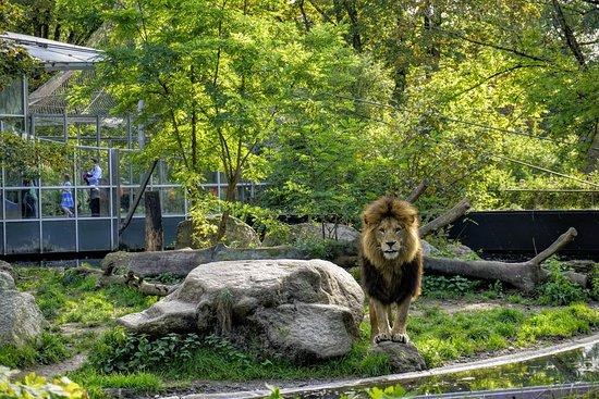 Munchener Tierpark Hellabrunn